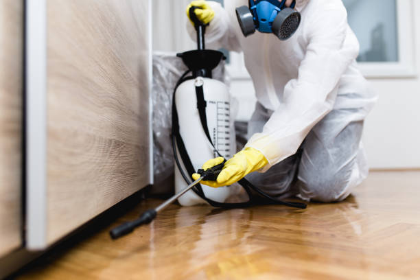 Best Commercial Pest Control Services  in Mountain View, CA