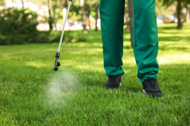 Best Pest Prevention Services  in Mountain View, CA