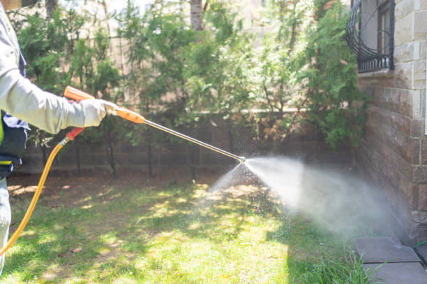 Best Wasp Removal Services  in Mountain View, CA