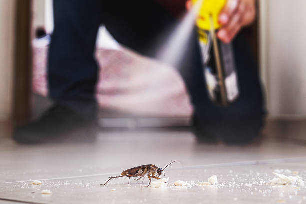 Best Pest Prevention Services  in Mountain View, CA